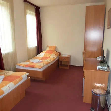 Hotel Minerva Panzio