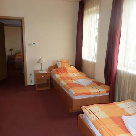 Hotel Minerva Panzio