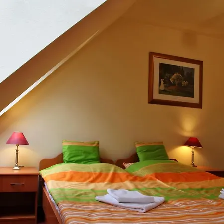 Hotel Minerva Panzio Debreczyn