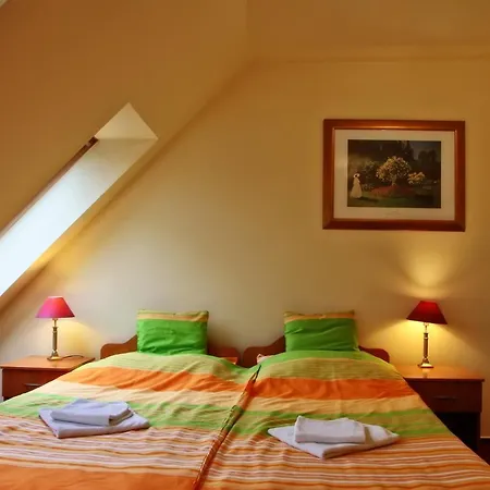 Hotel Minerva Panzio