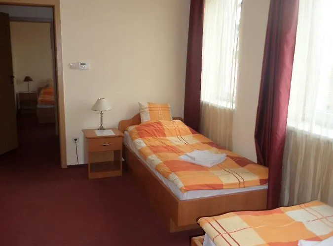 Hotel Minerva Panzio