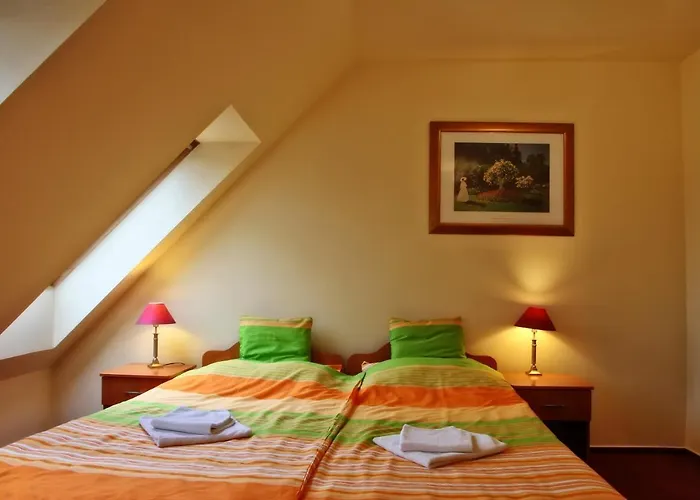 Hotel Minerva Panzio